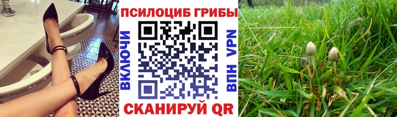 Псилоцибиновые грибы мухоморы  купить наркотик  Лянтор 