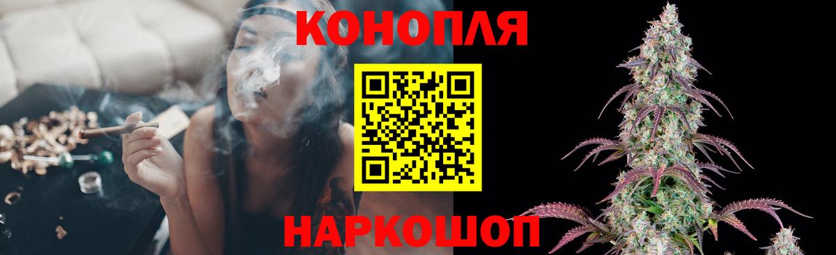 Конопля индика Лянтор